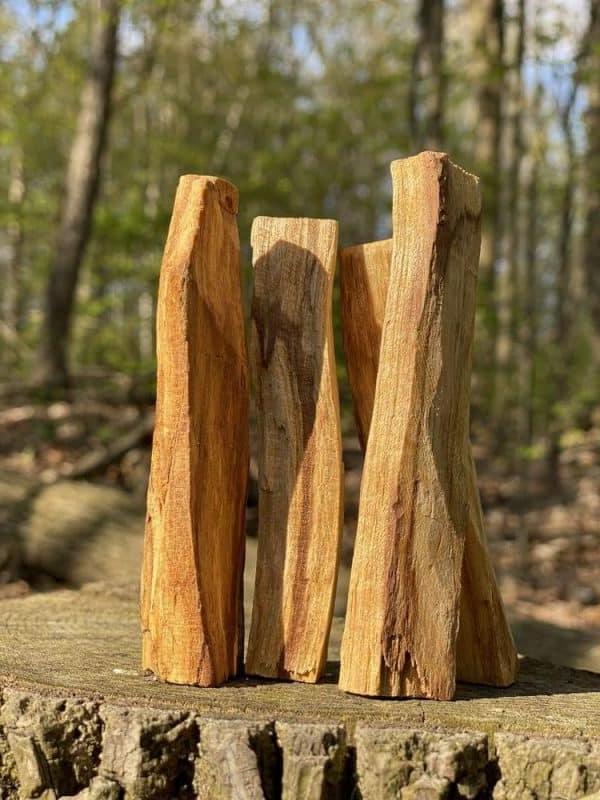 Giá gỗ trắc bao nhiêu tiền 1 kg?